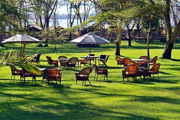 Hotel nella periferia del lago Naivasha. Kenya. Africa.