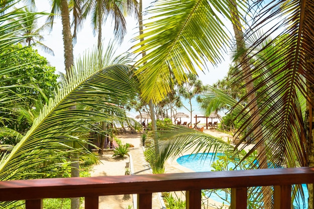 Hotel o casa residenziale in terrazza con giardino tropicale che si affaccia sulla spiaggia assolata