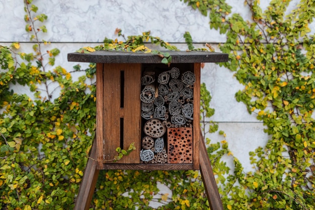 Hotel per insetti Tutela dell'ambiente Salva l'ape