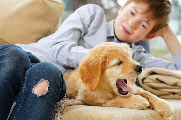 Hovawart cucciolo d'oro Giovane ragazzo che gioca con il suo cucciolo a casa