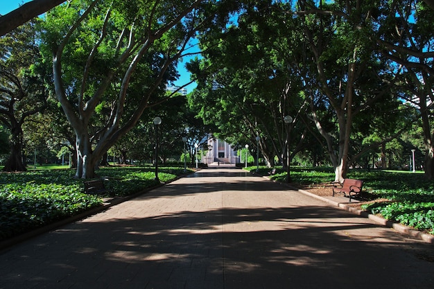 Hyde Park nel centro di Sydney, Australia