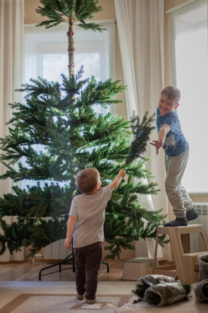 I bambini assemblano un albero di Natale artificiale dai rami nel loro soggiorno a casa eco cristo...