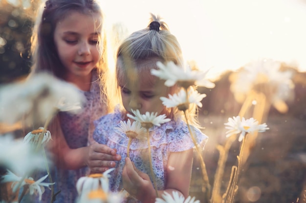 I bambini camminano in estate nella natura Bambino in una soleggiata mattina di primavera nel parco Viaggiare con i bambini