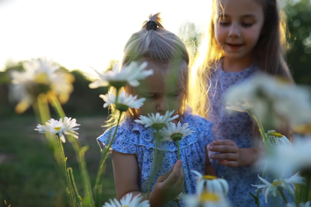 I bambini camminano in estate nella natura Bambino in una soleggiata mattina di primavera nel parco Viaggiare con i bambini