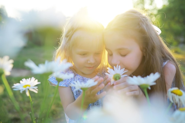 I bambini camminano in estate nella natura Bambino in una soleggiata mattina di primavera nel parco Viaggiare con i bambini