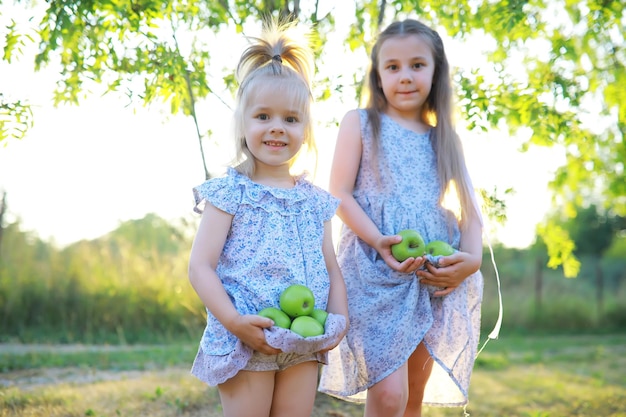 I bambini camminano in estate nella natura Bambino in una soleggiata mattina di primavera nel parco Viaggiare con i bambini