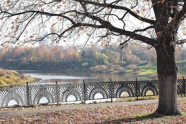 I bambini camminano nel parco autunnale della fallxA