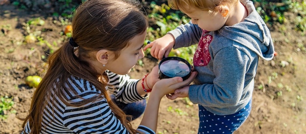 I bambini esaminano il terreno con una lente d'ingrandimento Messa a fuoco selettiva
