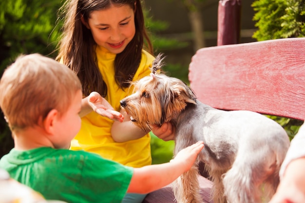 I bambini felici si divertono con un simpatico yorkshire terrier