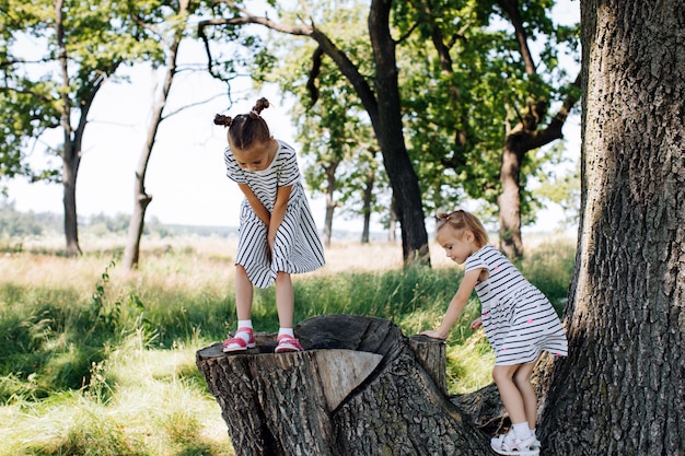 I bambini giocano nel parco estivo e si arrampicano sugli alberi