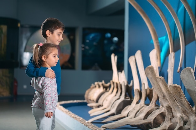 I bambini guardano lo scheletro di un'antica balena nel Museo di Paleontologia.