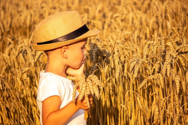 I bambini in un campo di grano mangiano i biscotti. Messa a fuoco selettiva