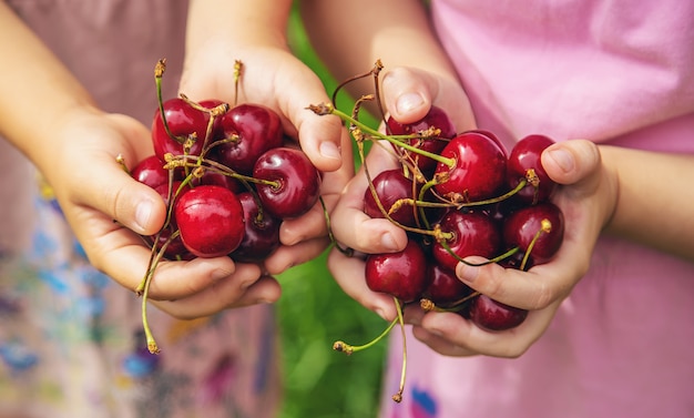 I bambini mangiano le ciliegie in estate