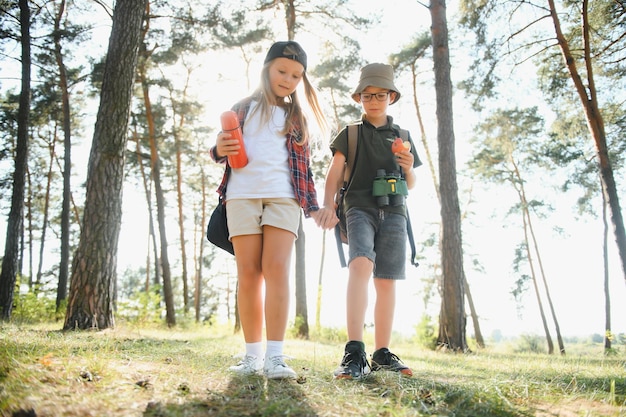 I bambini scout nella foresta