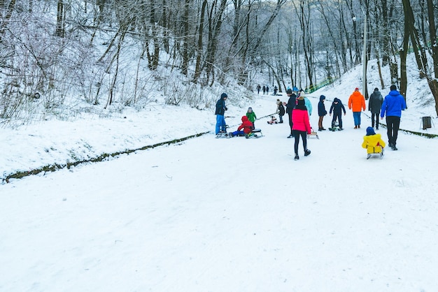 I bambini si liberano sulla slitta in una giornata invernale nel parco cittadino