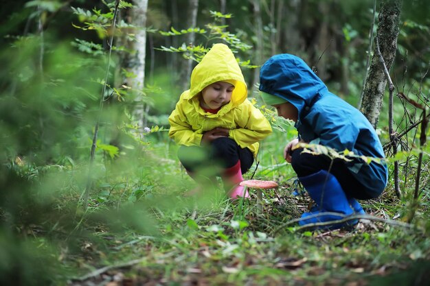 I bambini vanno nella foresta per i funghi