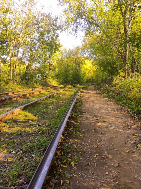 I binari del tram nel parco autunnale