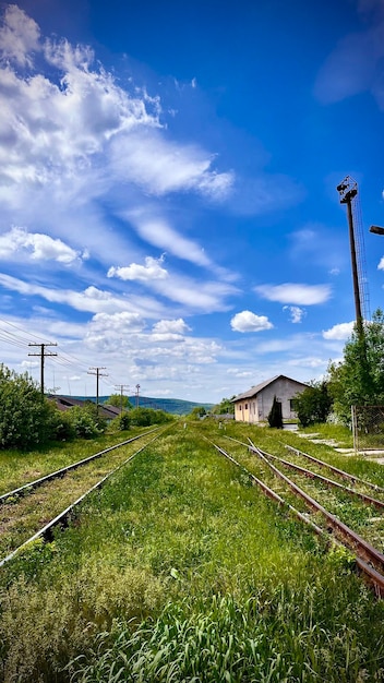 I binari del treno si perdono all'orizzonte tra la vegetazione e un cielo azzurro con nuvole