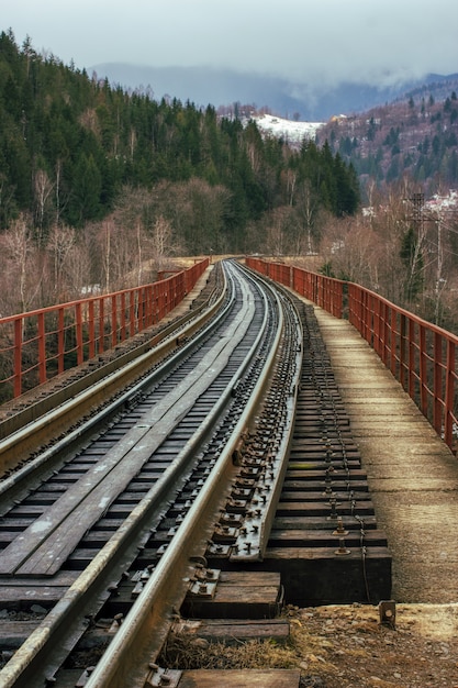 I binari ferroviari vuoti con vecchie traversine in legno vintage conducono dal visualizzatore alle montagne