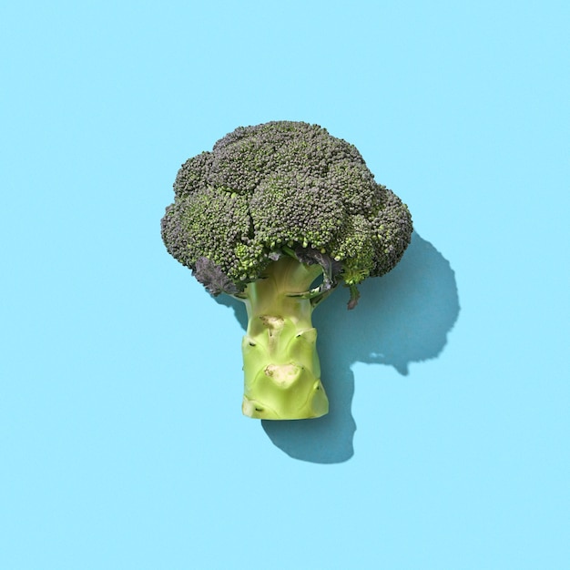 I broccoli sono un ortaggio vitaminico salutare presentato su uno sfondo blu con spazio di copia e un motivo dalle ombre. Alimento dietetico vitaminico. Vista dall'alto