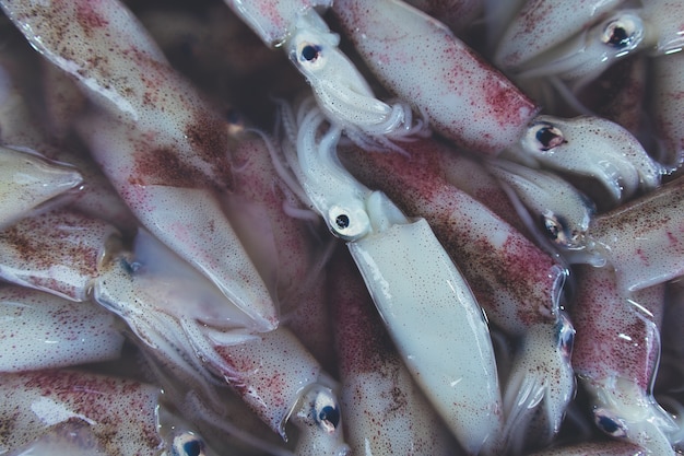 I calamari freschi crudi vendono sul mercato locale fresco.