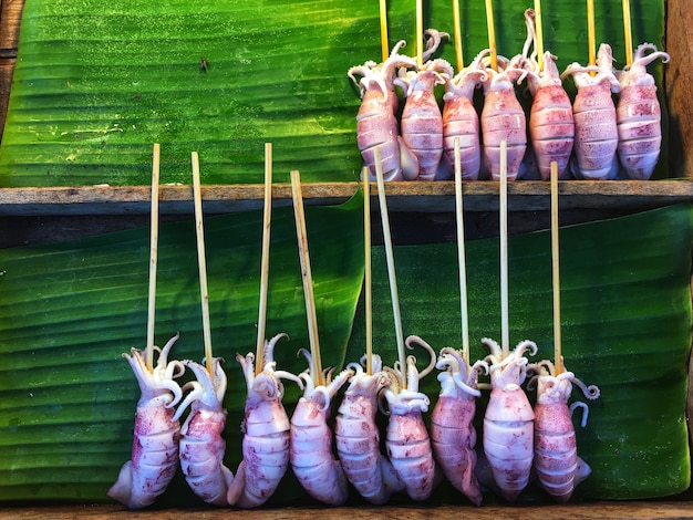 I calamari sono preparati per la griglia