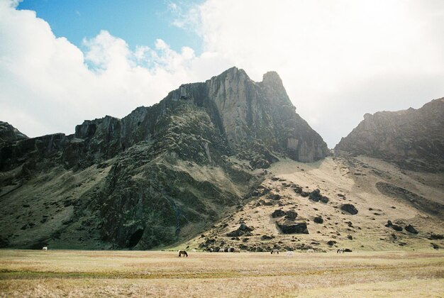 I cavalli pascolano ai piedi delle montagne rocciose dell'Islanda