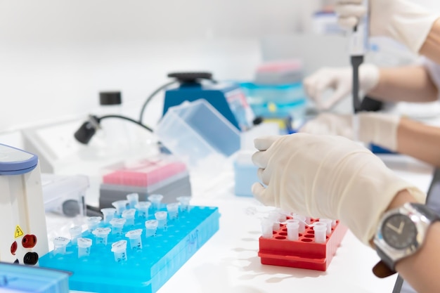 I chimici hanno mescolato sostanze chimiche per trovare farmaci antiretrovirali in laboratorio È stato trovato un esperimento per rilevare il virus nel sangue Sviluppatori di potenziali medicinali e vaccini contro COVID19