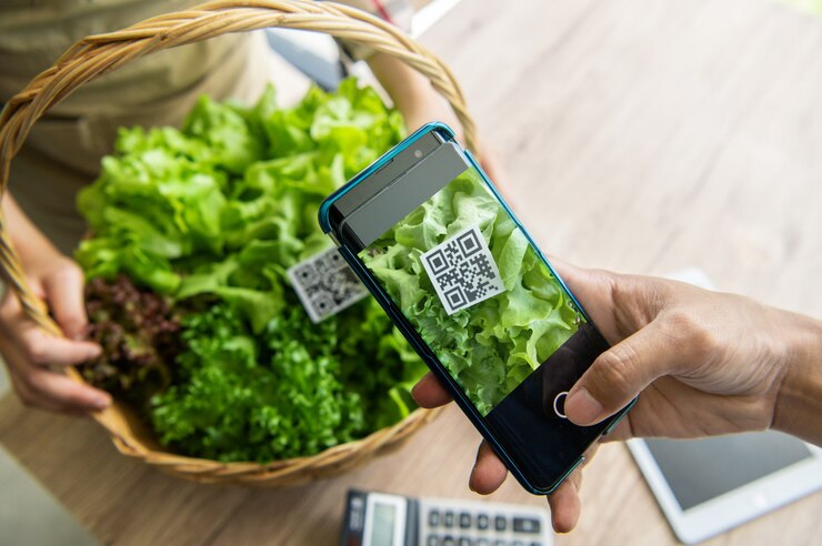 I clienti acquistano ortaggi biologici dalla fattoria idroponica e pagano utilizzando il codice QR