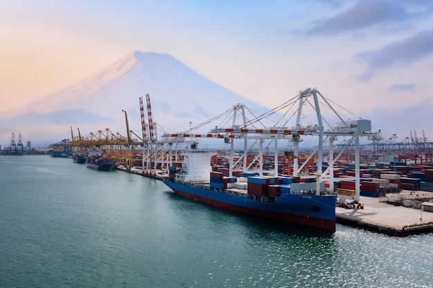 I container spediscono e spediscono i porti logistici del trasporto marittimo carico scarico dall'industria delle gru