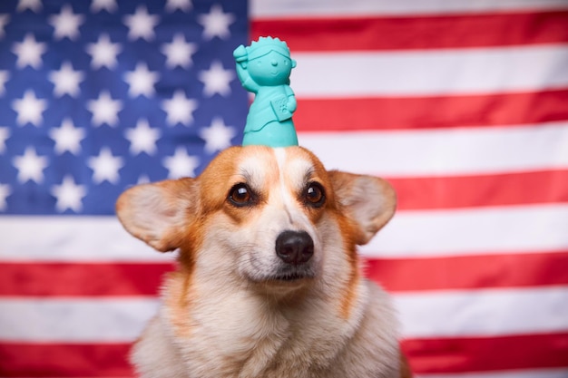 I corgi e la Statua della Libertà sono isolati davanti alla bandiera americana