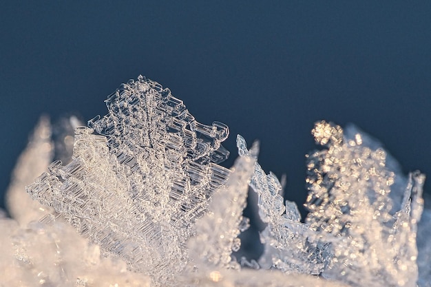 I cristalli di ghiaccio si congelarono in tutte le direzioni Si formarono abbondanti forme strutturate e bizzarre