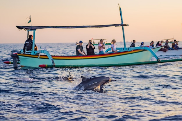 I delfini liberi nel mare saltano fuori dall'acqua vicino alla barca