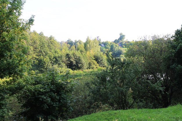 I divertenti colori autunnali degli alberi autunnali e del lago incontrano l'autunno