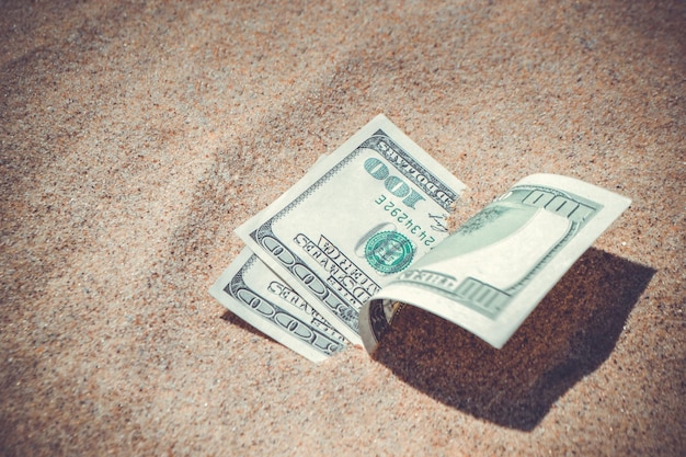I dollari di denaro ricoperti per metà di sabbia si trovano sul primo piano della spiaggia