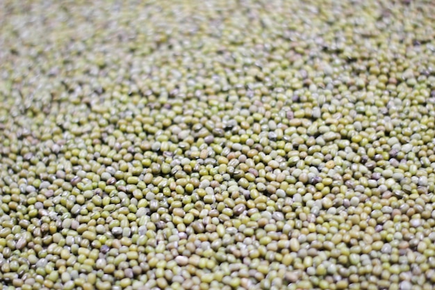 I fagiolini sono ricchi di proteine vegetali buone per la salute