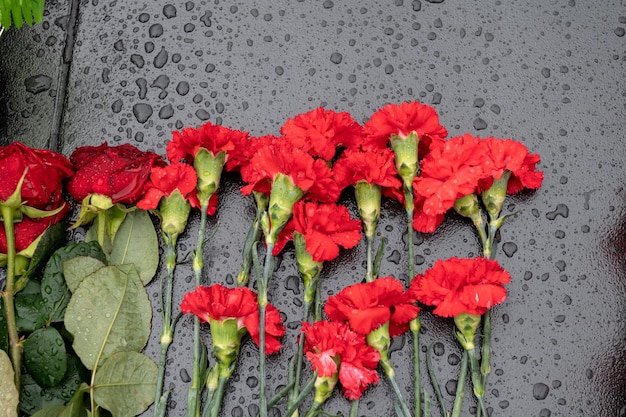 I fiori di garofano rosso e le rose sono deposti su una lastra di marmo sotto la pioggia