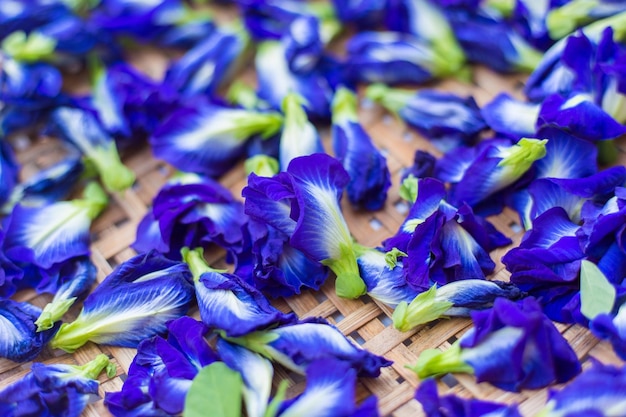 I fiori di pisello di farfalla essiccati sono fiori bluviola naturalmente belli. Possono essere usati come coloranti alimentari