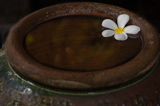 I fiori di Plumeria sono sul coperchio di legno del vecchio vaso vintage.