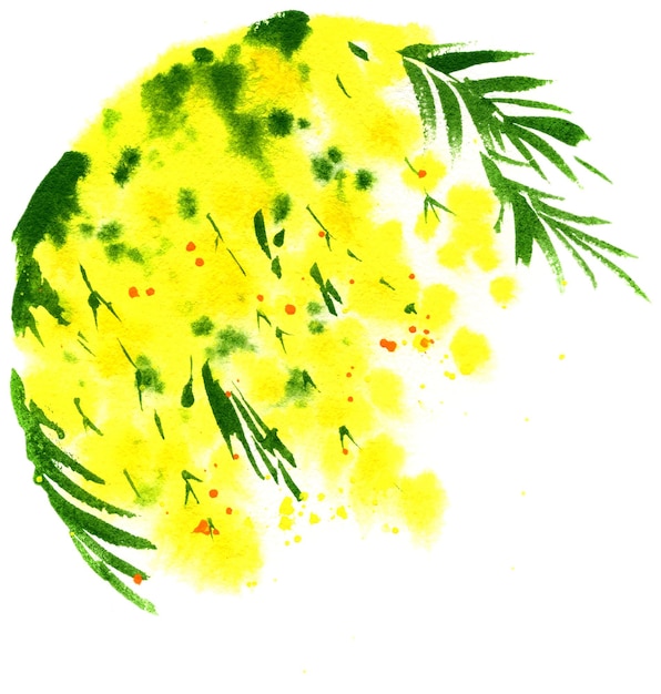 I fiori gialli dell'acquerello di mimosa disegnano a mano l'illustrazione del romanticismo primaverile Ideale per il matrimonio da cartolina