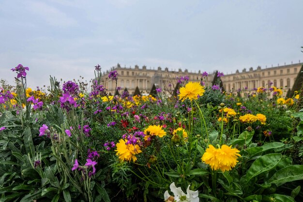 I fiori nella reggia di Versailles