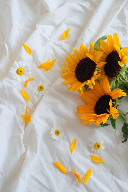 I fiori sono molto belli da vedere e adatti per il giardino o per interni