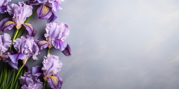 i fiori viola sono disposti su una superficie grigia con uno sfondo blu generativo ai