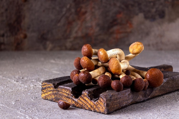 I funghi giacciono su una tavola di legno su un primo piano grigio del fondo