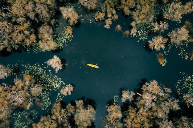 I funzionari del Dipartimento dei Parchi Nazionali in canoa o kayak per esplorare la foresta di mangrovie nell'area del giardino botanico della provincia di Rayong, in Thailandia.