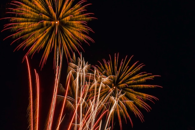 I fuochi d'artificio illuminano il cielo in uno spettacolo abbagliante