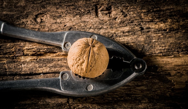 I gherigli di noce e le noci intere su un vecchio legno