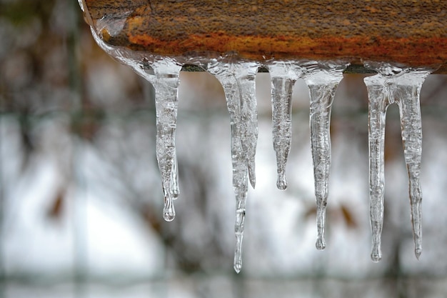 I ghiaccioli sono visti su un recinto nella neve.