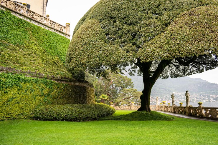 Foto i giardini sono un must per un matrimonio