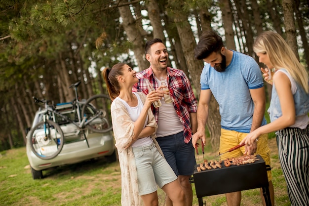 I giovani che godono barbecue party nel parco